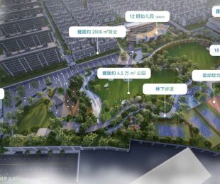 效果图