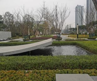 实景图