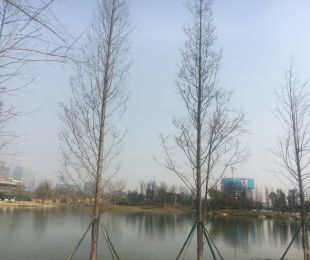 交通图