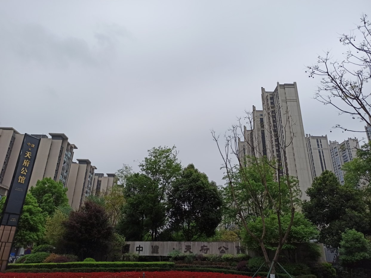 样板图