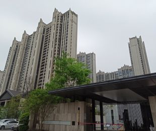 实景图