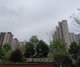 样板图