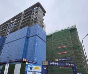 实景图