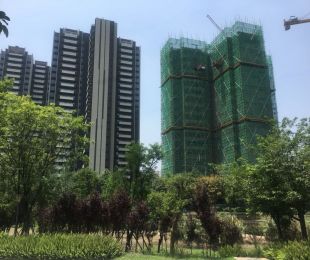 实景图