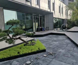 实景图