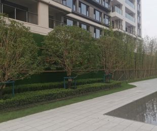 实景图