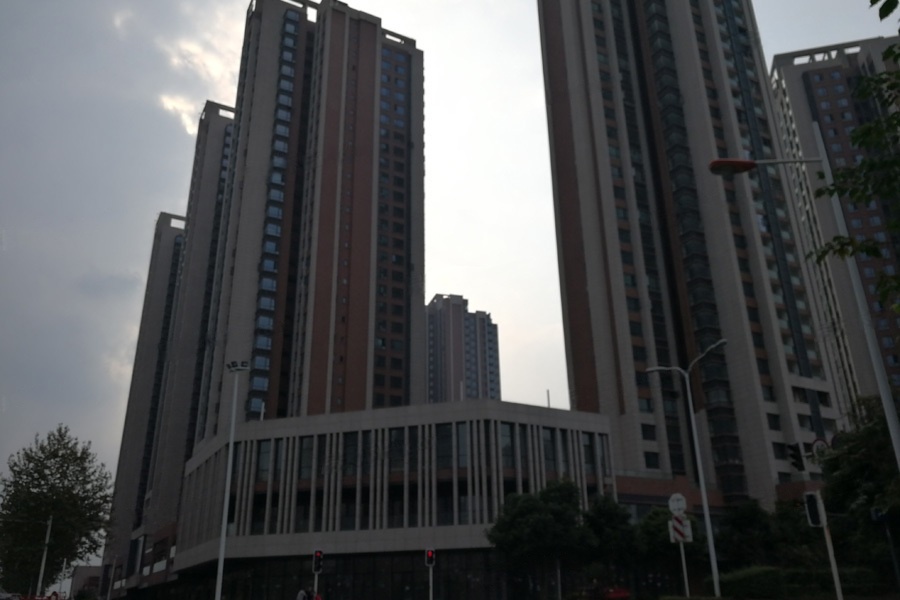 实景图
