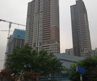 实景图