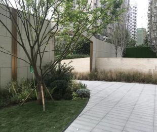 实景图