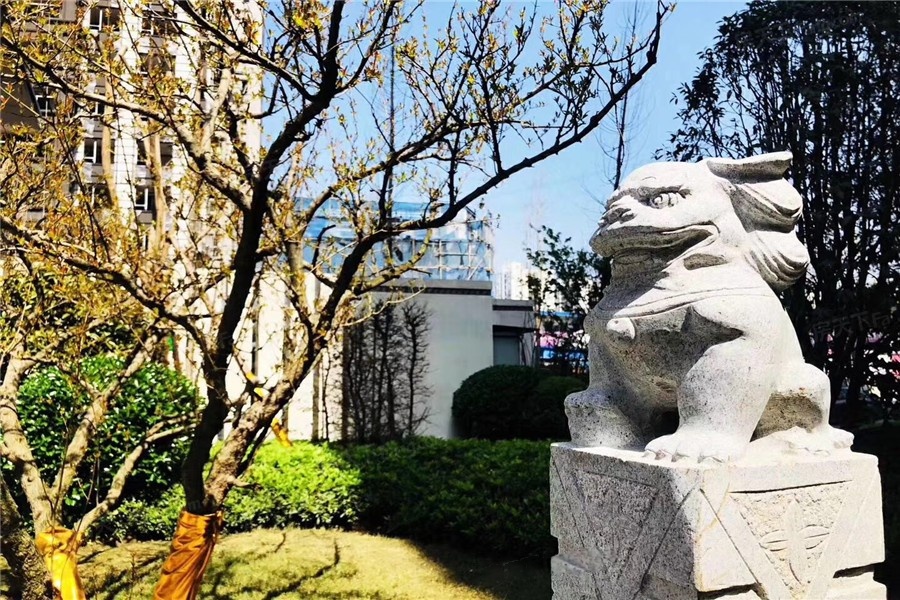 实景图