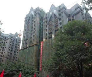实景图