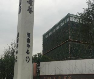 实景图