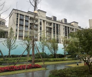 样板图