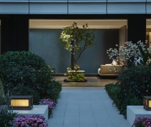 实景图