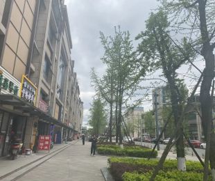 配套图