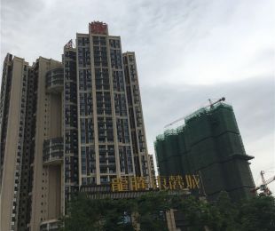 实景图