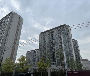 效果图