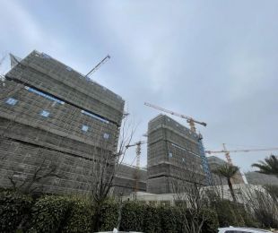 实景图