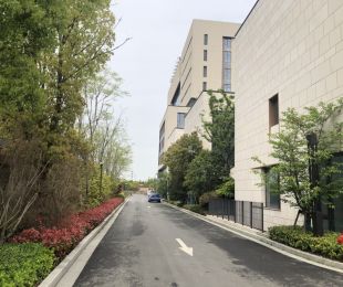 实景图