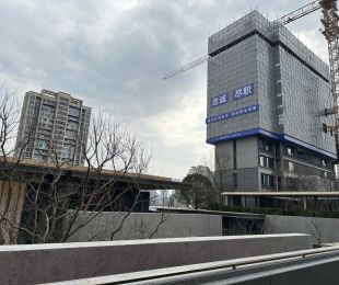 实景图