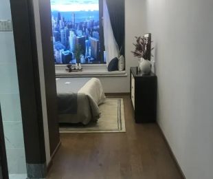 样板图