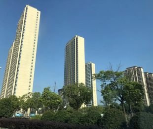 样板图