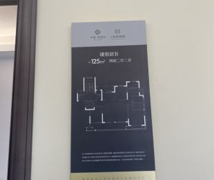 样板图