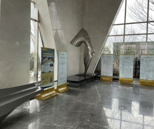 实景图