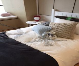 样板图