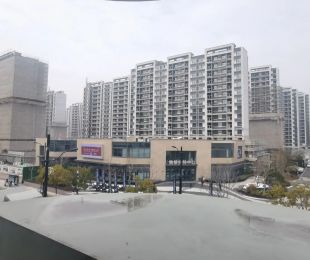 样板图