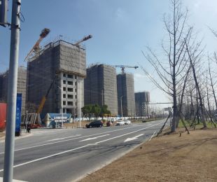 样板图