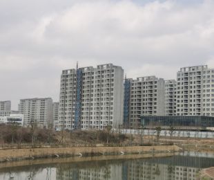 实景图