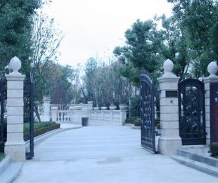 样板图