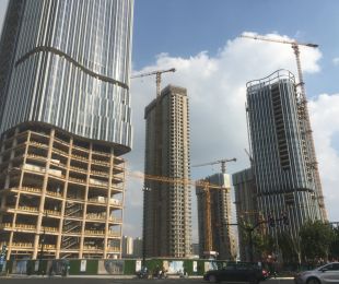 实景图