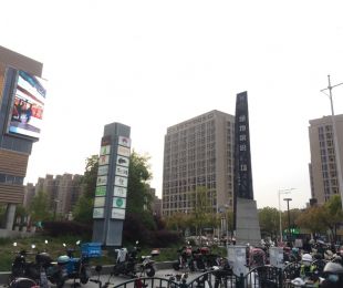 实景图