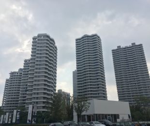 实景图