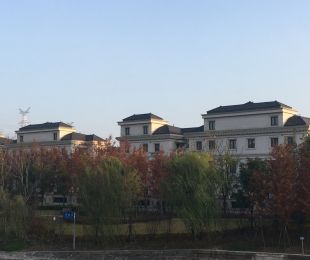实景图