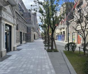 实景图