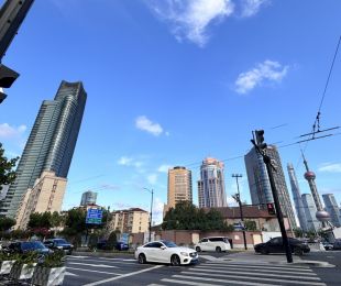 实景图