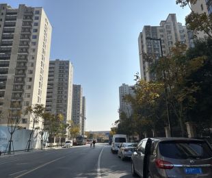 样板图