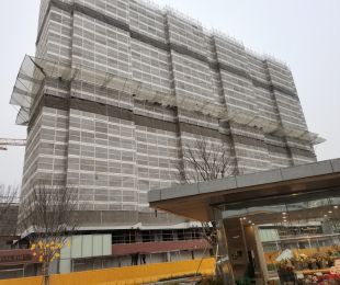 实景图
