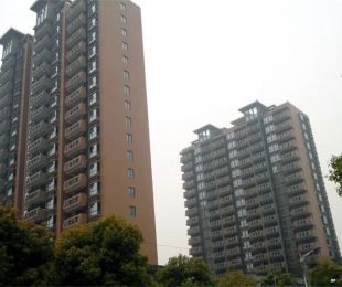 实景图