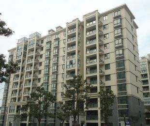 实景图