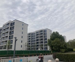 样板图