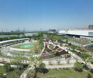 实景图