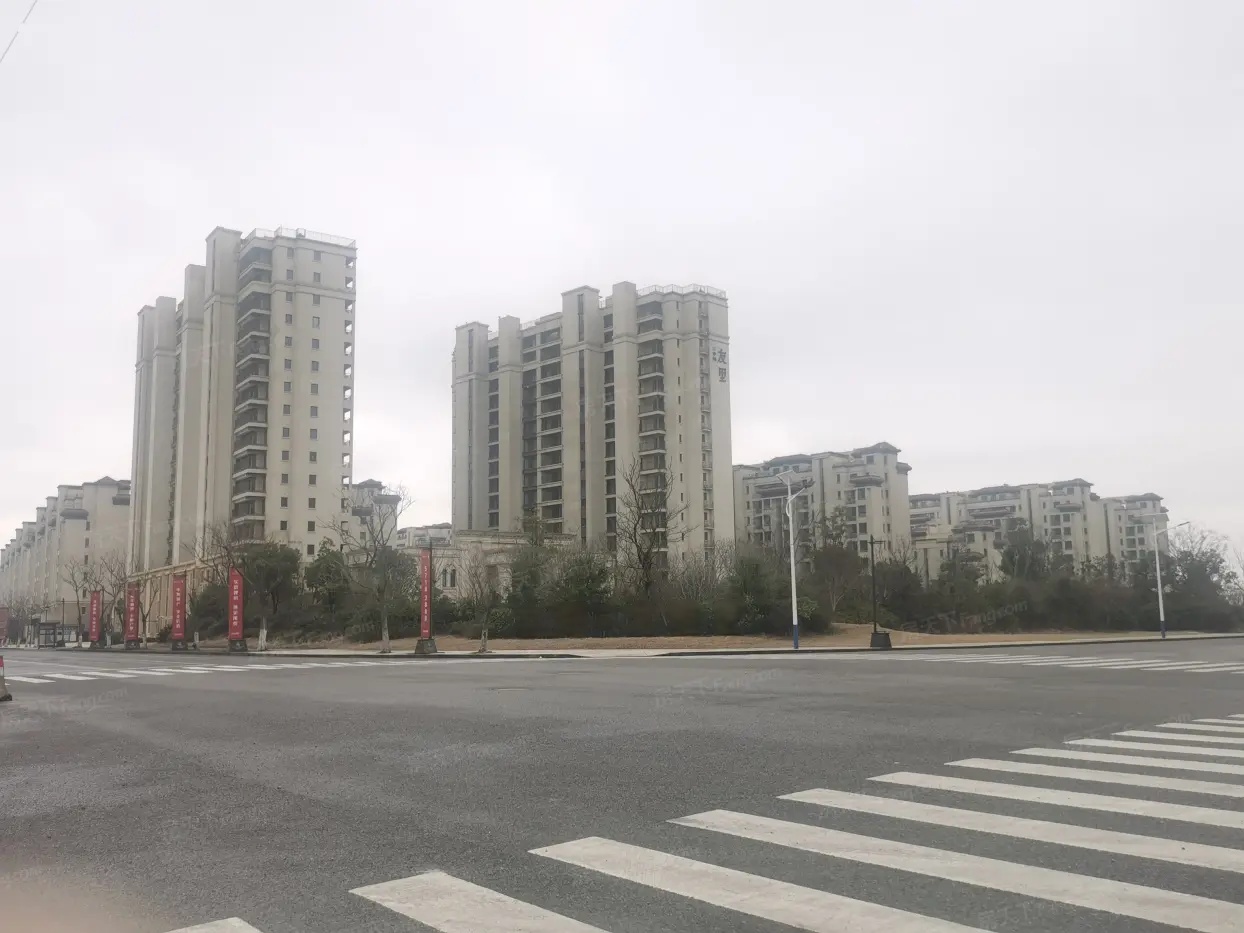 样板图