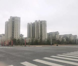 样板图
