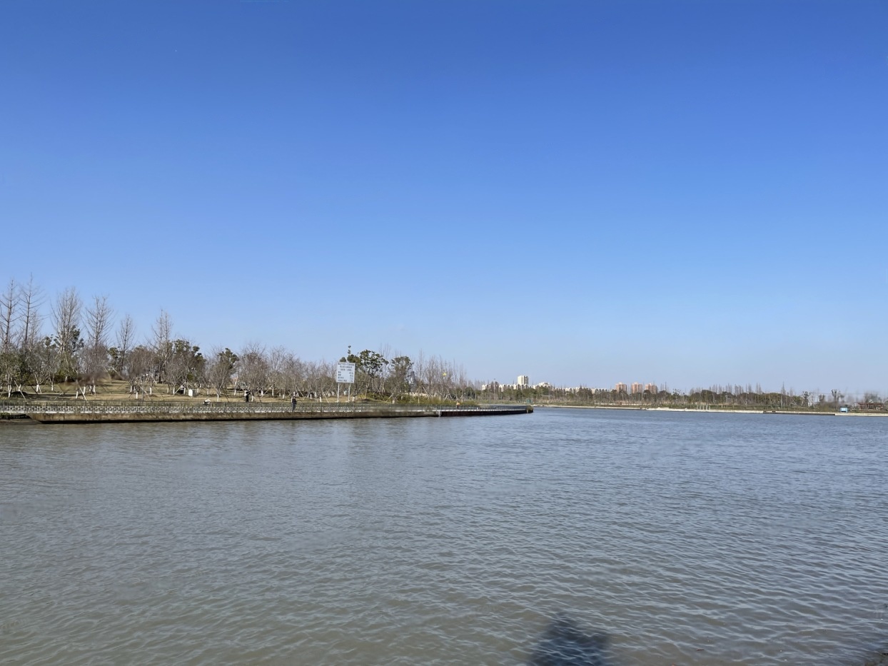 实景图