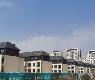 实景图