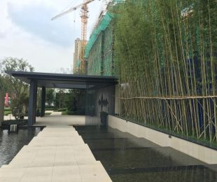 实景图